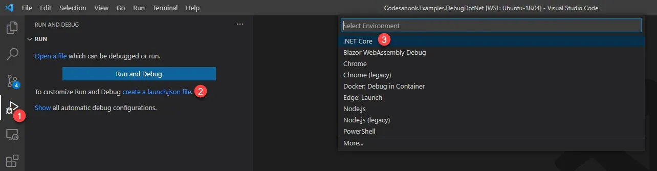 Create launch.json by VS Code